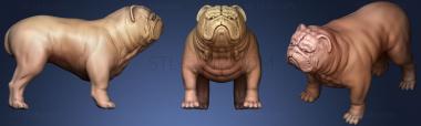 3D model Bulldog (STL)